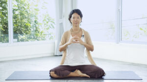 Hasta Mudras (16 videos + lesson slides) 4 4